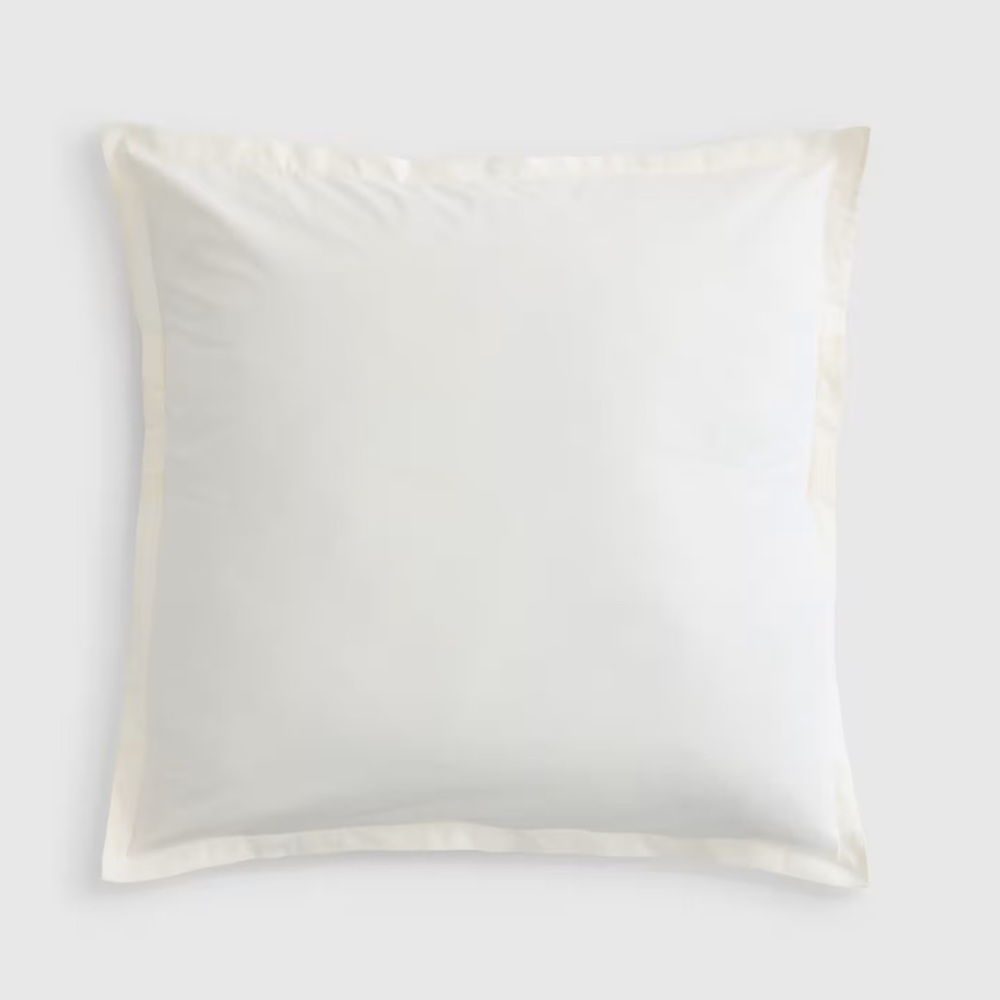 NWT QUINCE Organic Brushed Cotton Euro Sham Ivory 6083